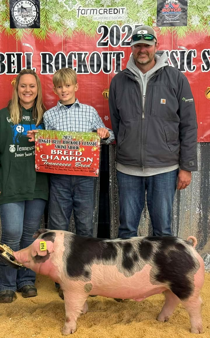 Clayton Gilliam
2025 Jingle Bell Rockout Classic
Champion Tennessee Bred
Spot Barrow