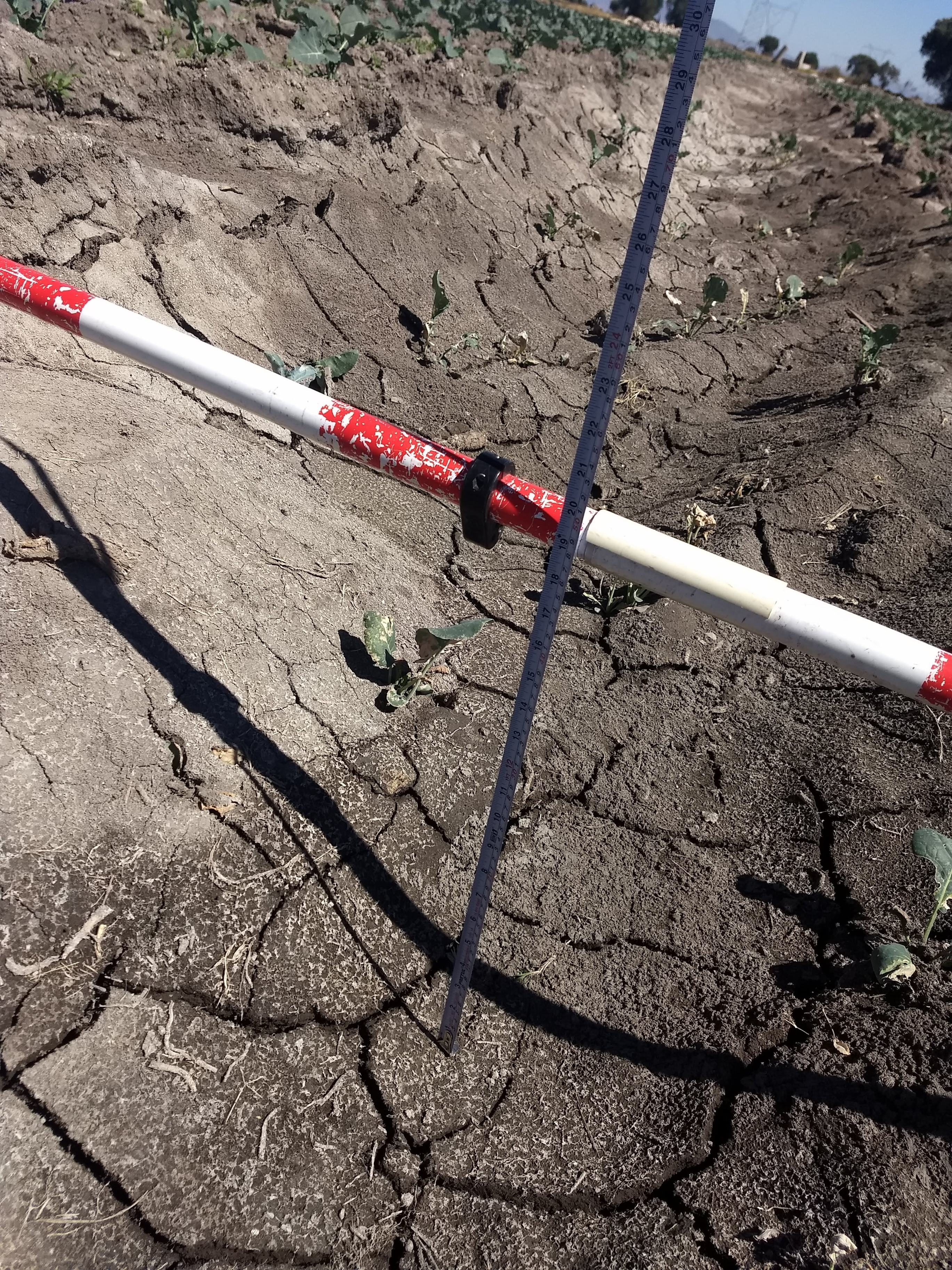 Midiendo afectaciones