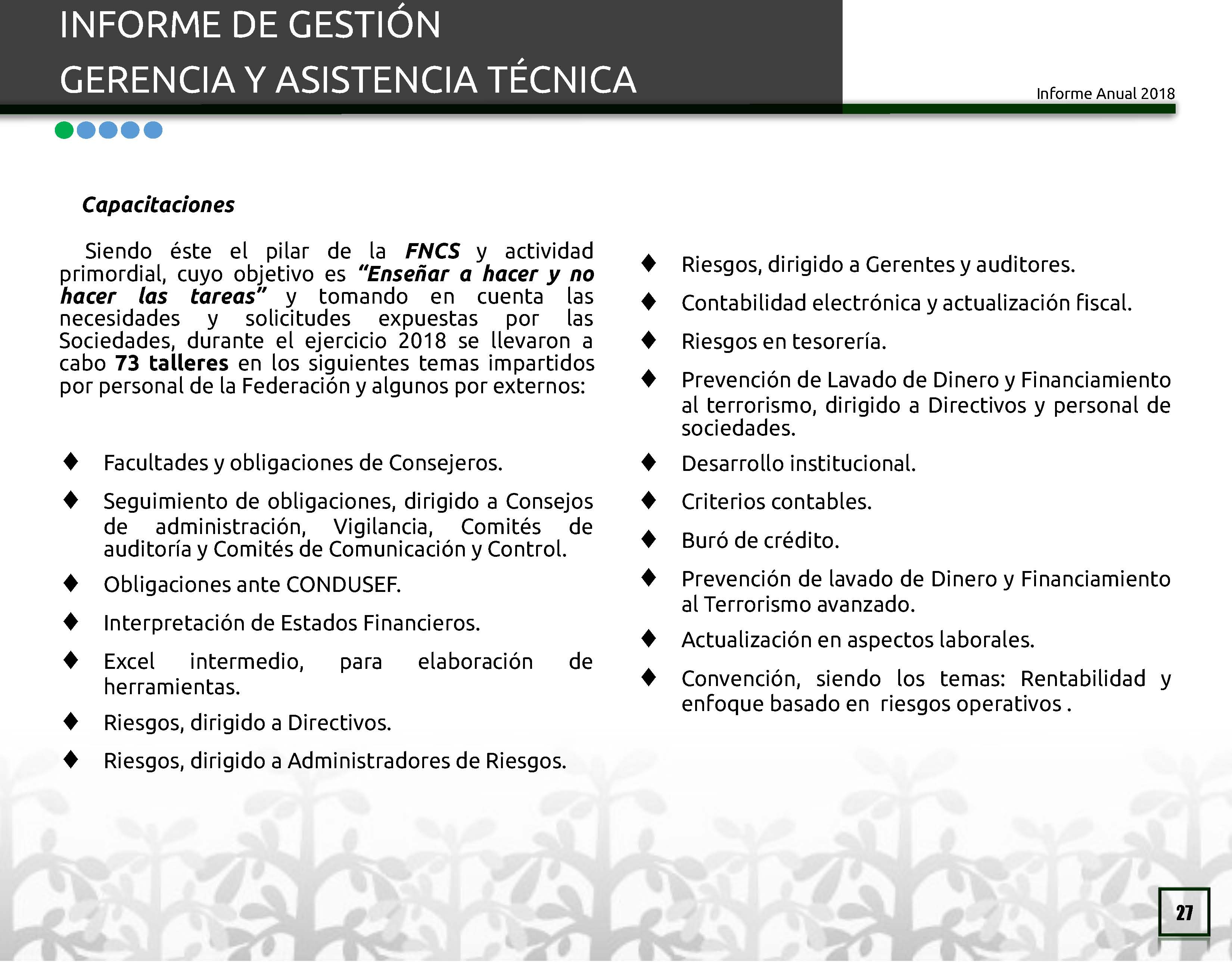 https://0201.nccdn.net/4_2/000/000/071/260/Informe-Anual-2018_P--gina_27-3300x2576.jpg