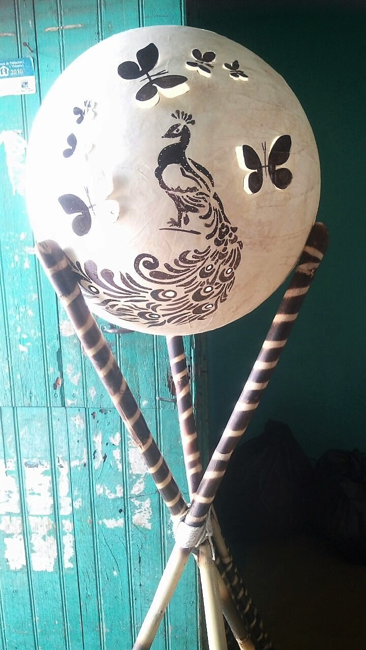 https://0201.nccdn.net/4_2/000/000/071/260/L--mpara-Pavo-real-720x1280.jpg