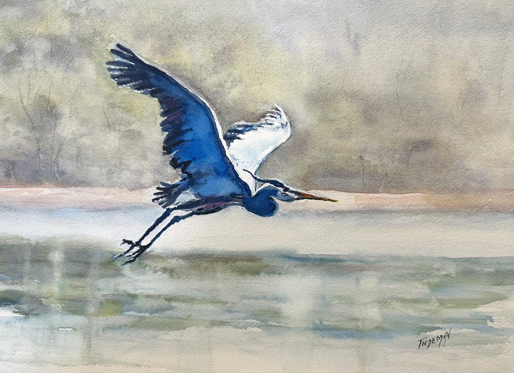 https://0201.nccdn.net/4_2/000/000/071/260/blueheron.jpg