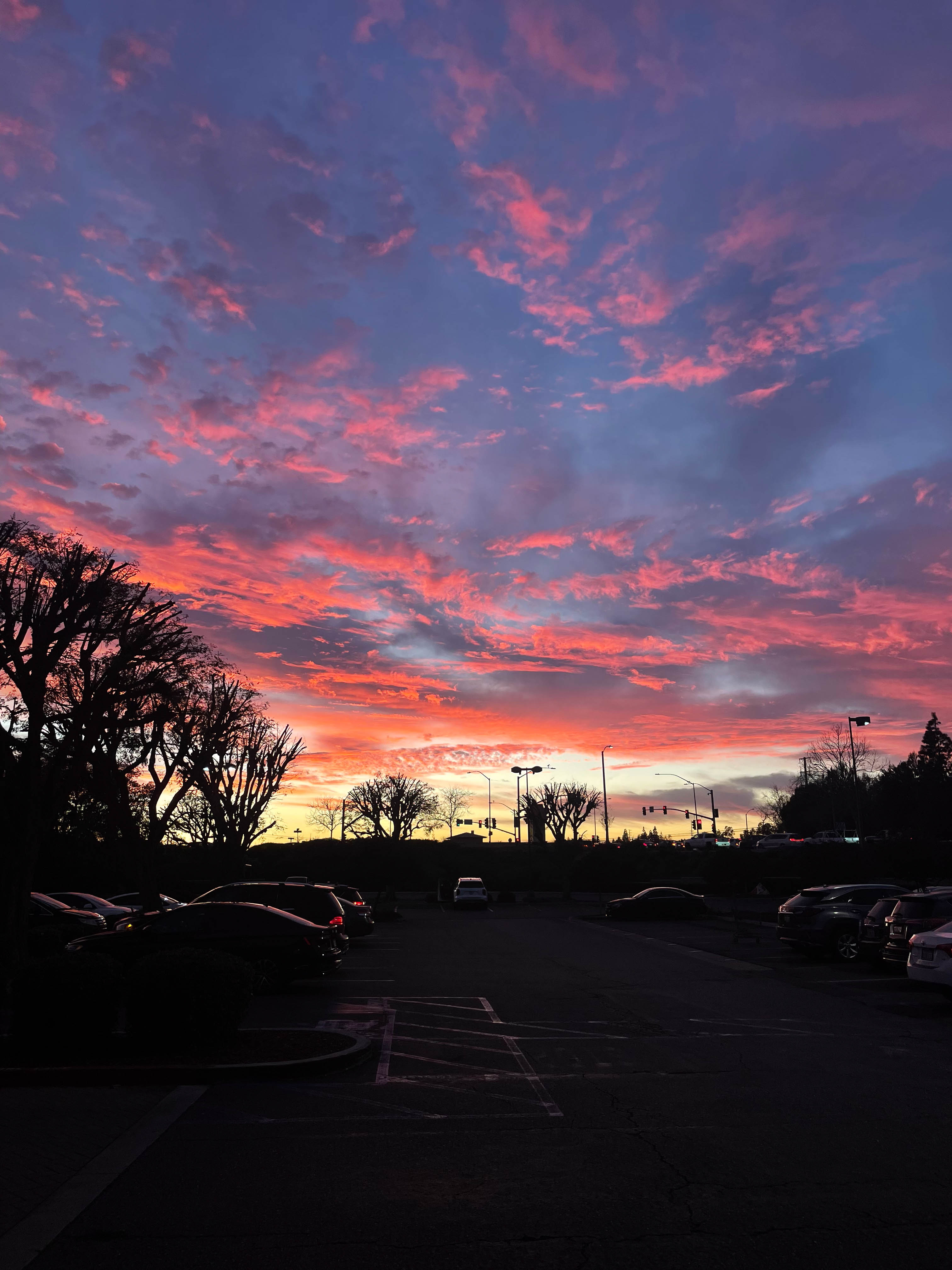 https://0201.nccdn.net/4_2/000/000/071/260/costa-mesa-order-10.jpg
