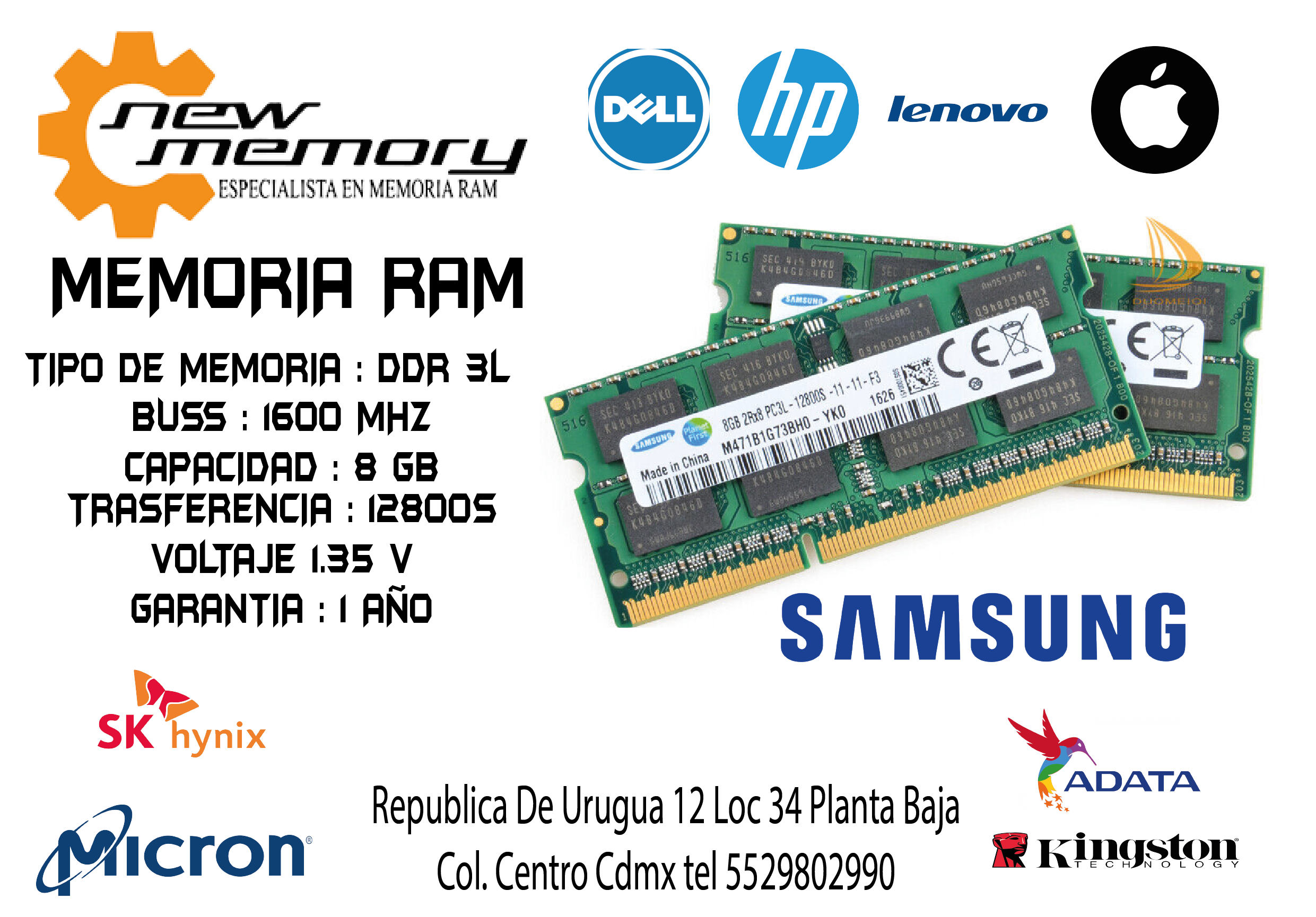 https://0201.nccdn.net/4_2/000/000/071/260/ddr-3-8-gb-12800-lap_mesa-de-trabajo-1_mesa-de-trabajo-1.png