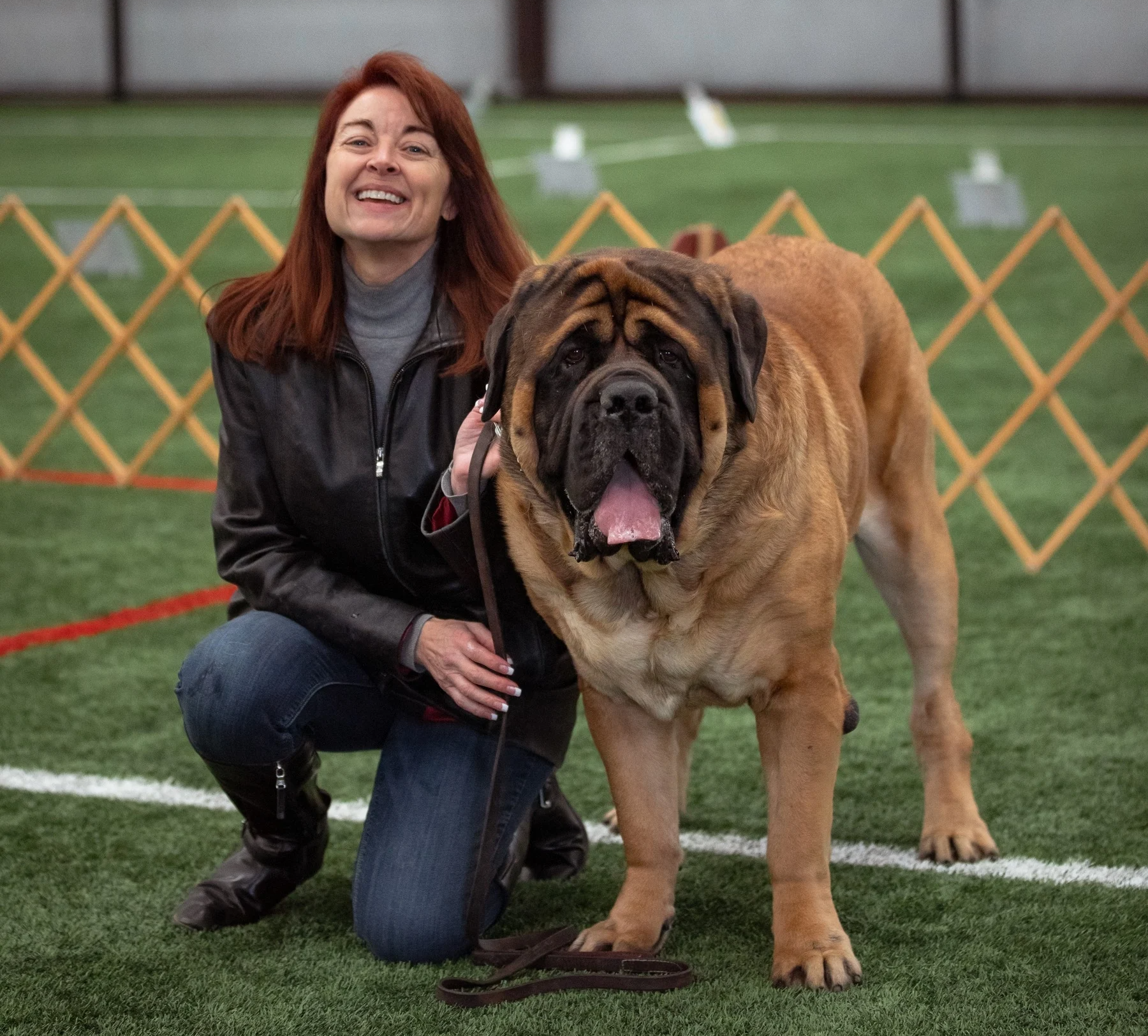 Happy Purebred Dog Owner
with her large male Mastiff
who loves doing Obedience & Rally