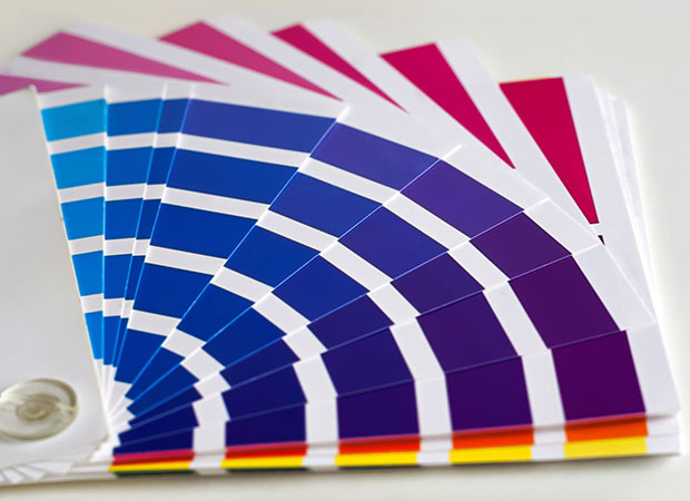 Color Palette