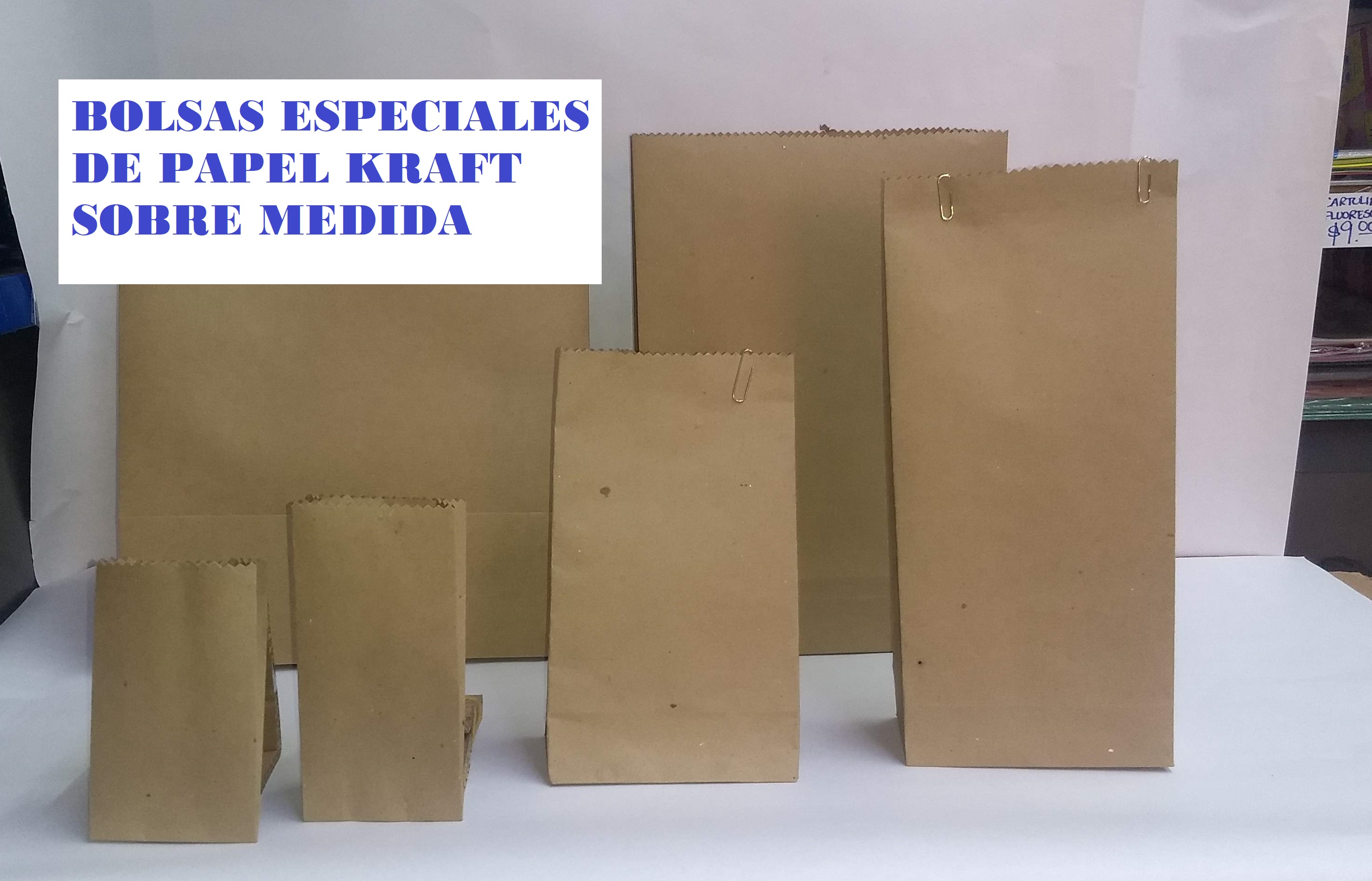 BOLSA DE PAPEL KRAFT SOBRE MEDIDA Y SOBRE PEDIDO
"HACEMOS CUALQUIER MEDIDA"