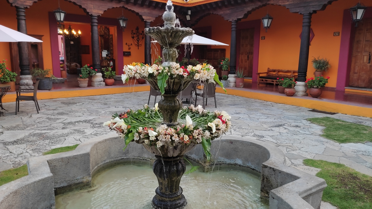 Sala de estar moderna con sofá gris, plantas decorativas, suelo de madera, y grandes ventanales que ofrecen vista al exterior. Sala de estar moderna con sofá gris, plantas decorativas, suelo de madera, y grandes ventanales que ofrecen vista al exterior.