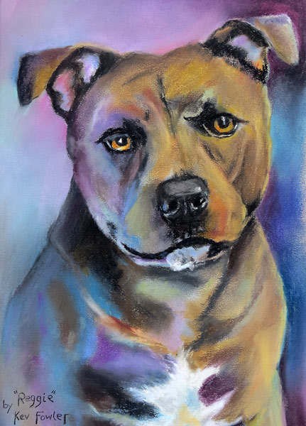 Reggie = Staffie