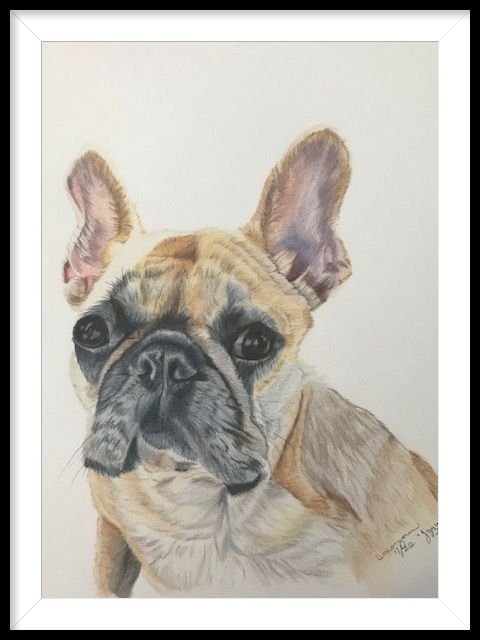 Jazzy III
9x12
Hot Press Watercolor Paper