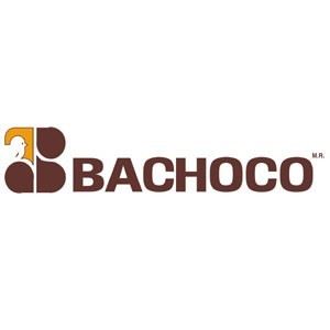https://0201.nccdn.net/4_2/000/000/071/260/logo-de-bachoco1.jpg