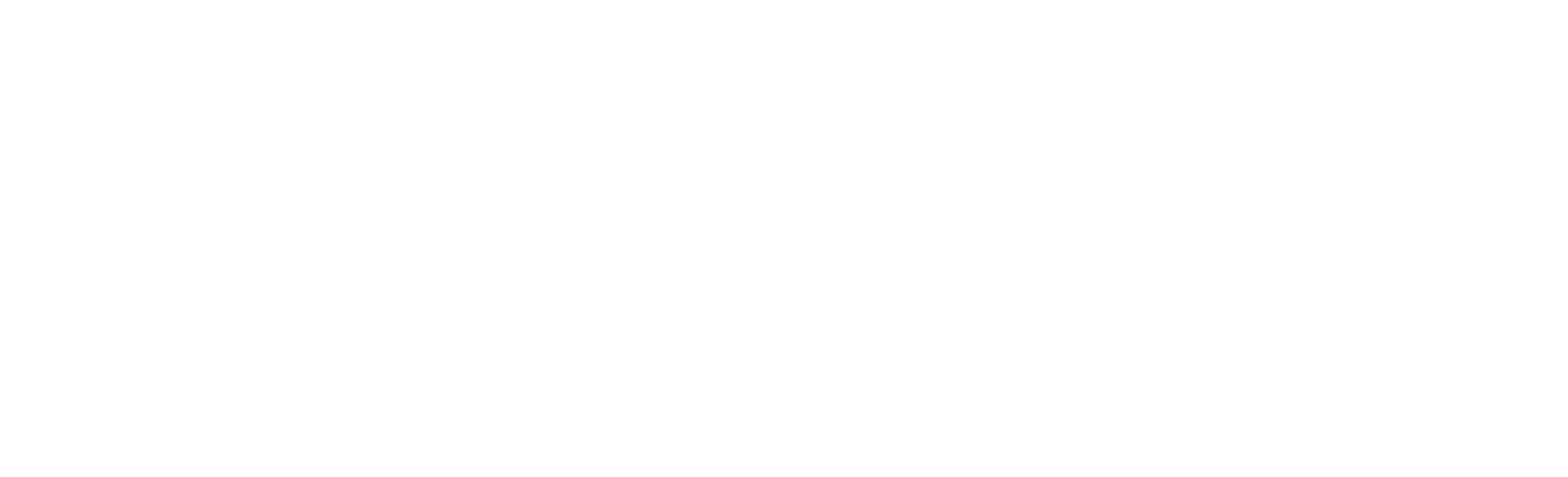 Lavantte Laundry and Co