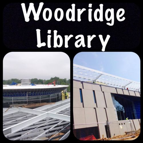 https://0201.nccdn.net/4_2/000/000/071/260/ogp-contractors-inc-woodridge-library1.jpg