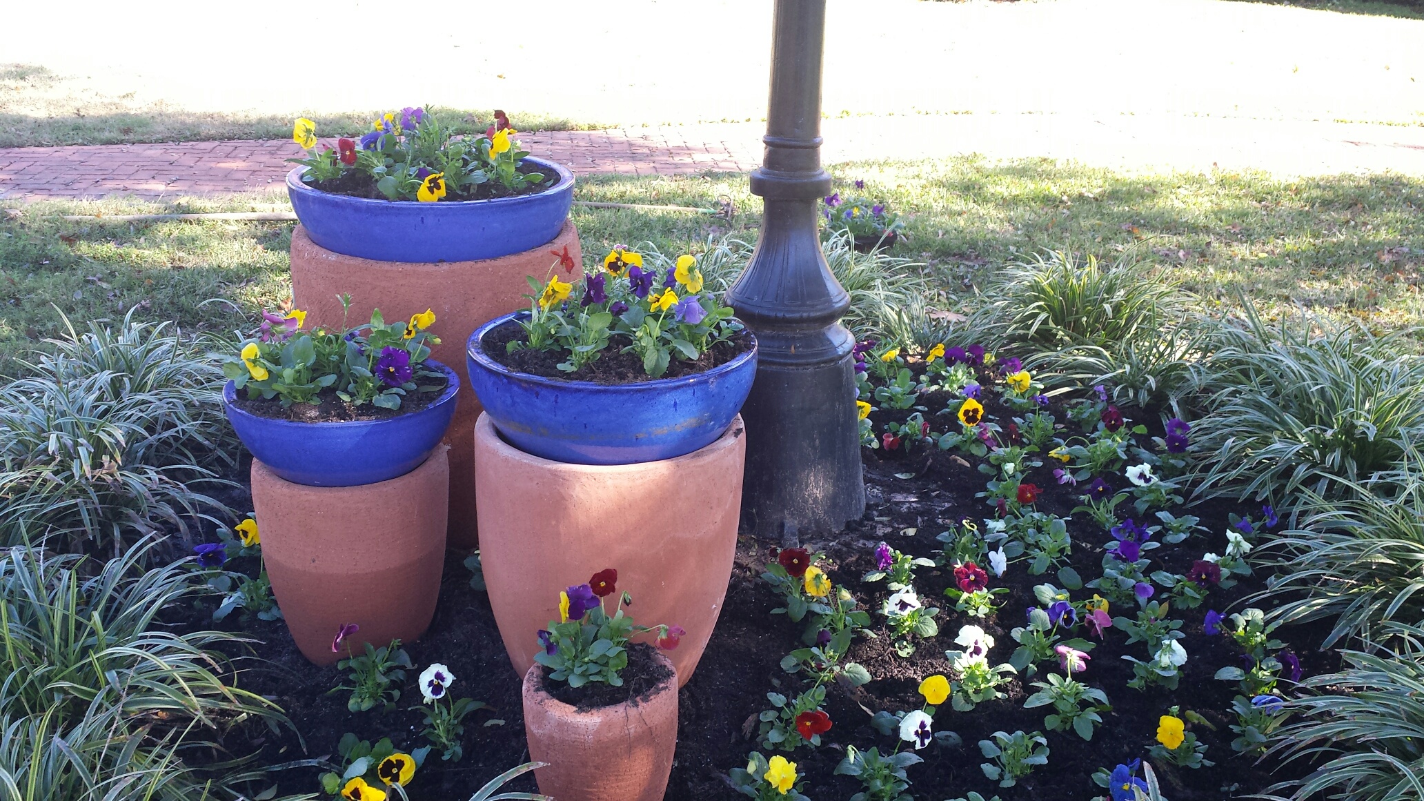 Professional Gardening Services