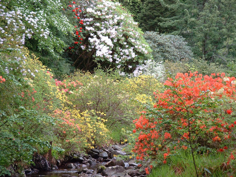 Crarae Gardens Nr Inverary