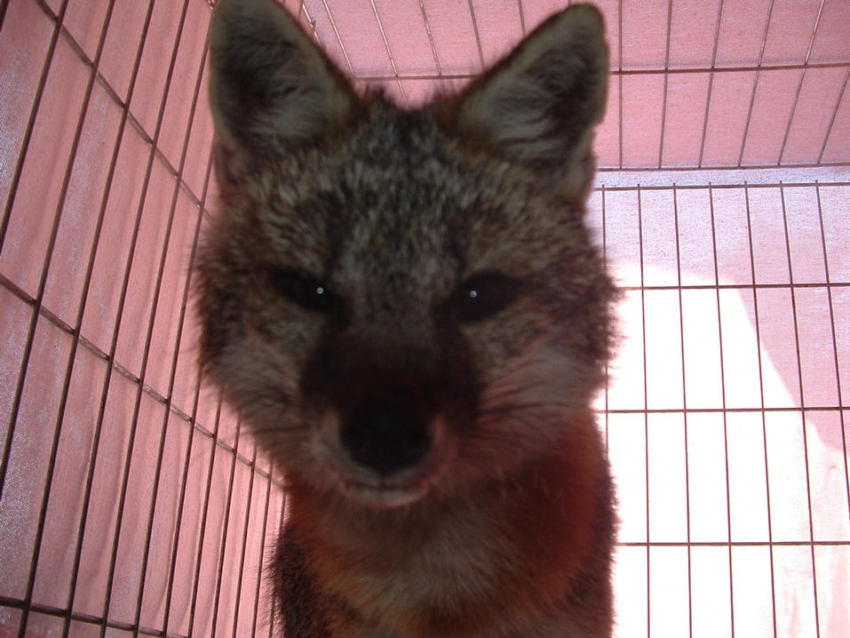 Is it time to go yet?