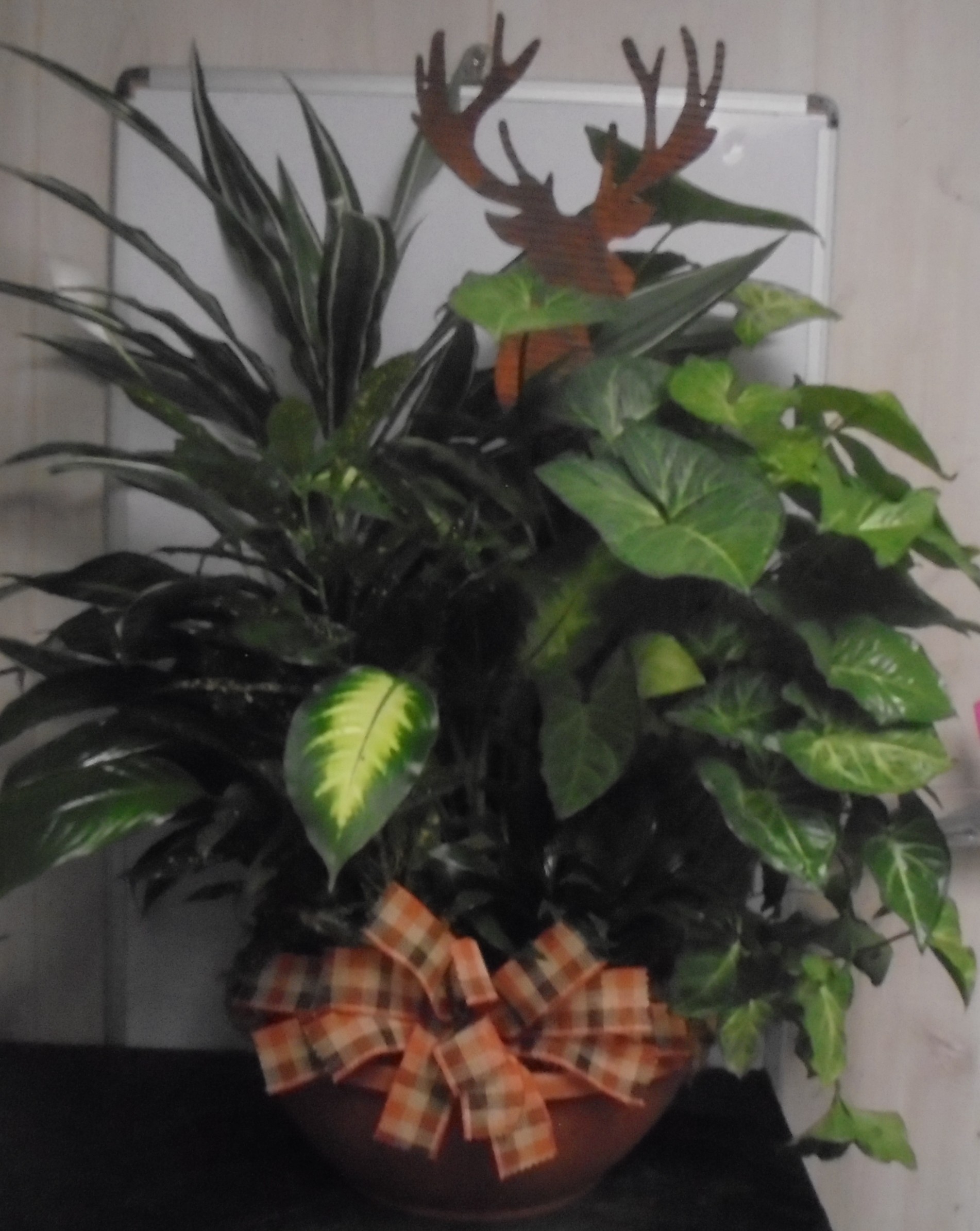(10) Dish-Garden Plant 
W/ Deer
$150.00