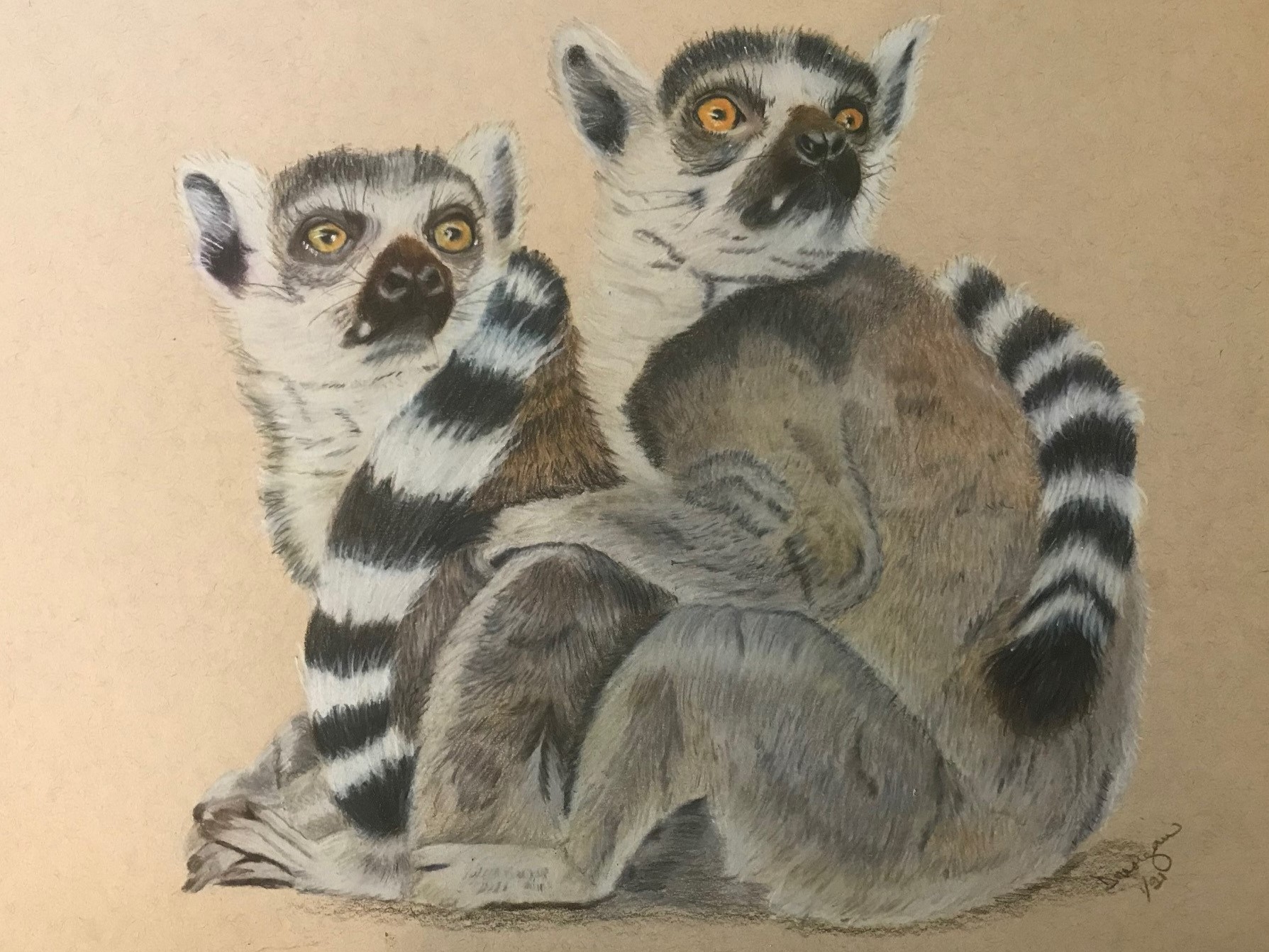 Lemur Twins