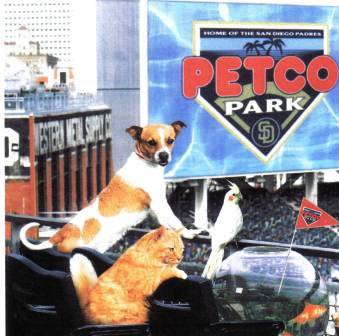 https://0201.nccdn.net/4_2/000/000/071/7bf/spot-and-petco-sm.jpg