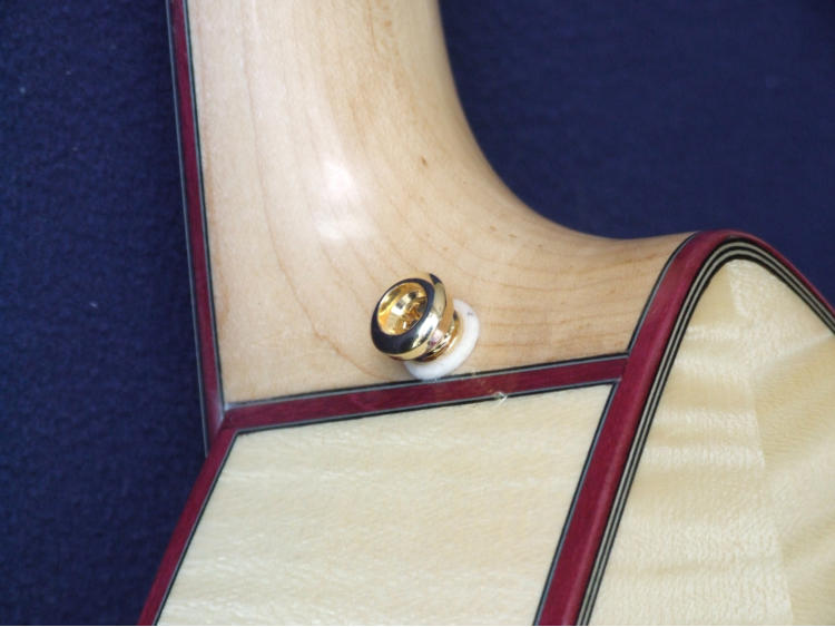 Flame Maple back and sides with Purpleheart Bindings