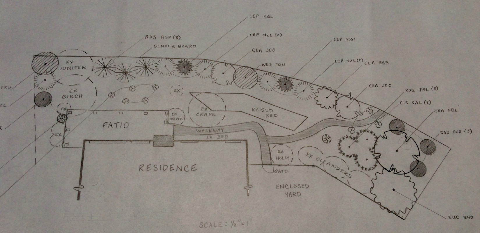 Drought and deer tolerant screening design to block unwanted views of weedy property line.