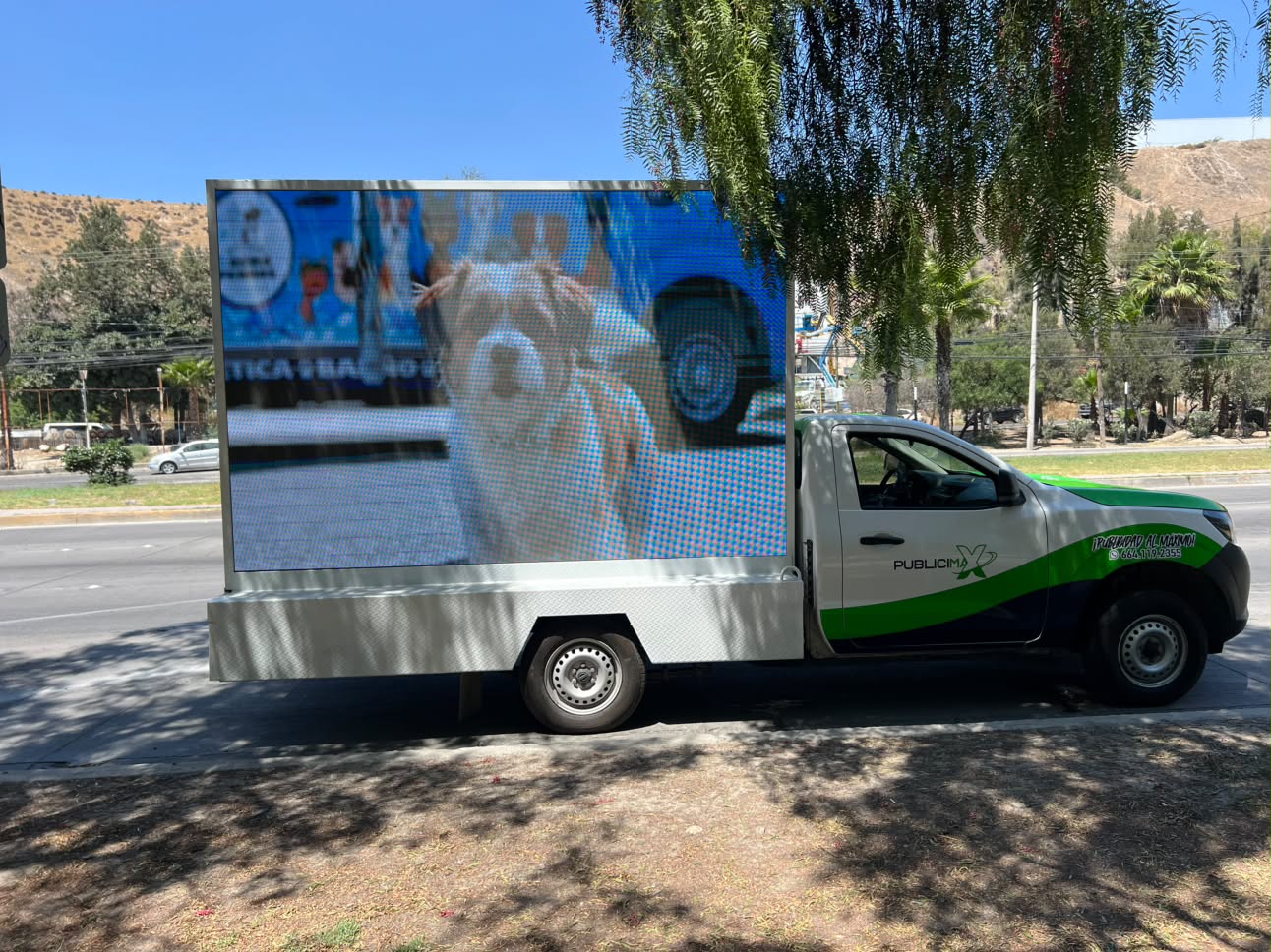 https://0201.nccdn.net/4_2/000/000/072/2aa/perrito.jpg