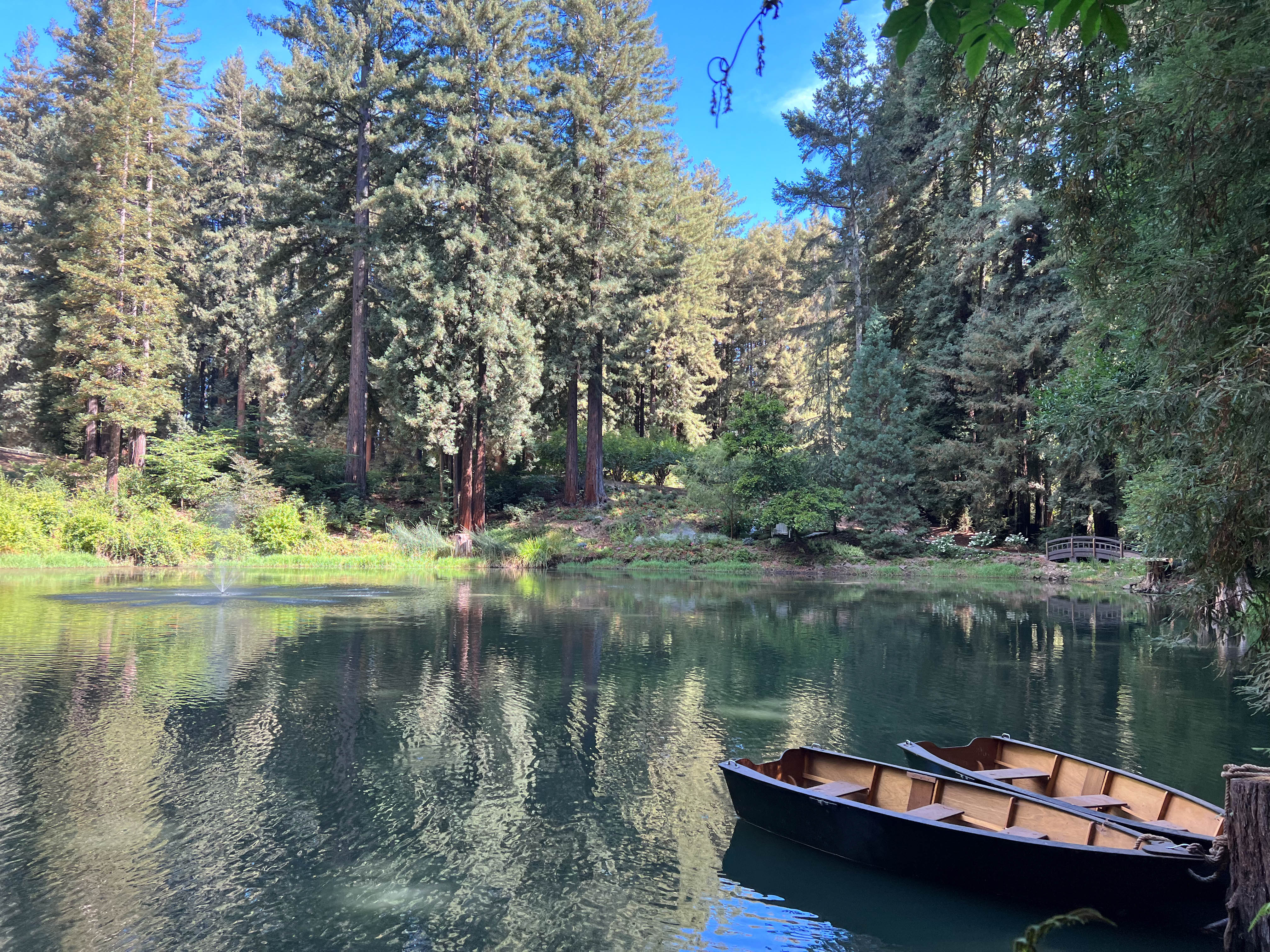 https://0201.nccdn.net/4_2/000/000/072/2aa/san-jose-order-14.jpg