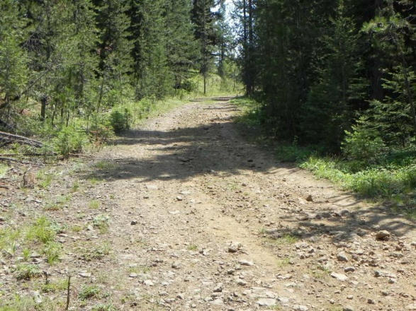 Stop 4: Junction of #50197 and #50245 in Granite Creek subwatershed
TAP:  IDT Evaluate
