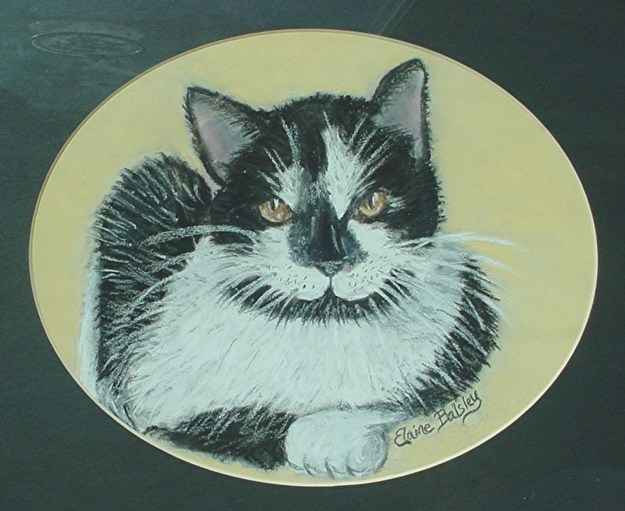 Smiley Cat, Pastel on Paper, Framed   SOLD