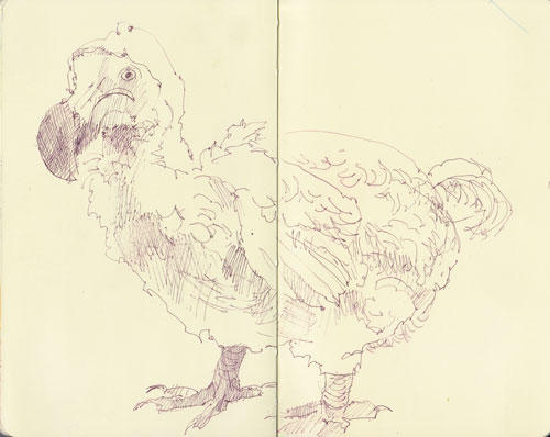 Dodo at the Natural History Museum