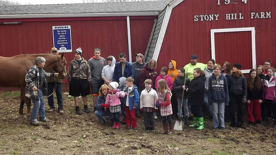 Volunteers come out for National Help a Horse Day 2015