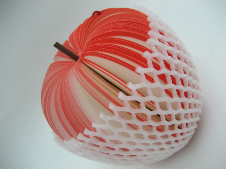 CG2012002 Red Apple  Memo