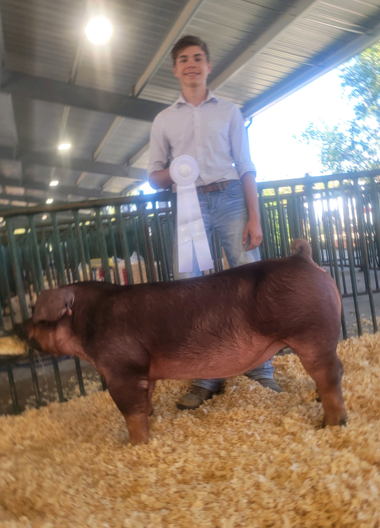Nathan Roach
2024 Nashville Fair
Reserve Champion Duroc Gilt
4th Overall Gilt