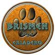 Criadero Brismen dogs