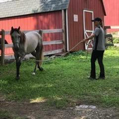 Fiona: Learning her ABCs 