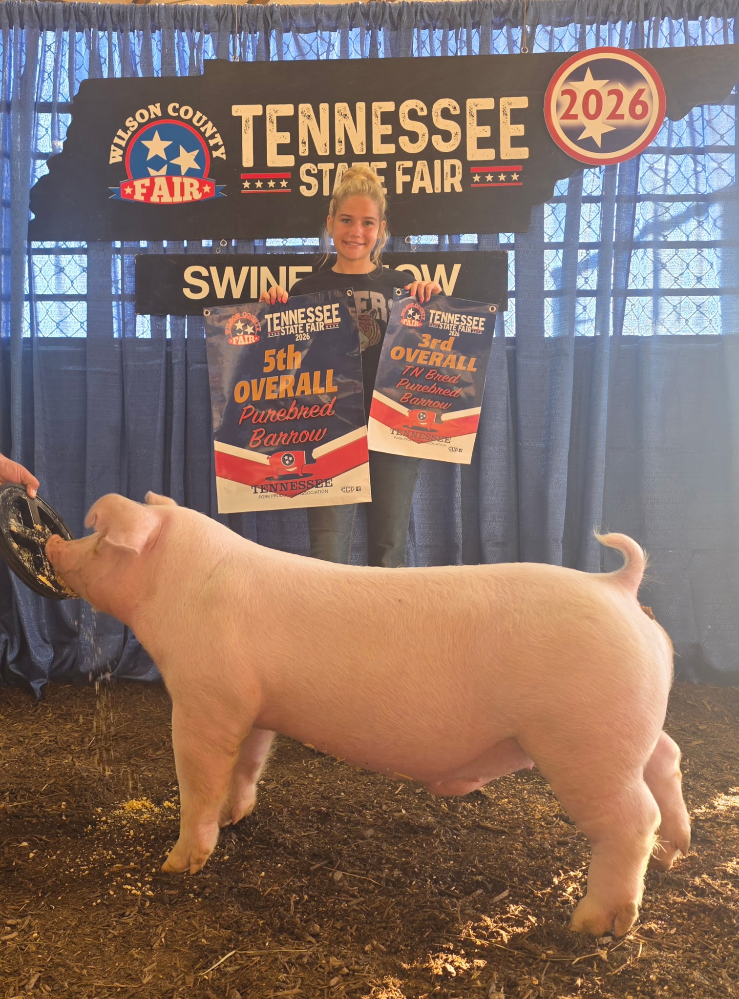 Cara Roach
2026 Tennessee State Fair
Champion Chester White Barrow 
 Champion Chester White Barrow 
Tennessee Bred 
 5th Overall Purebred Barrow
 3rd Overall Barrow Tennessee Bred