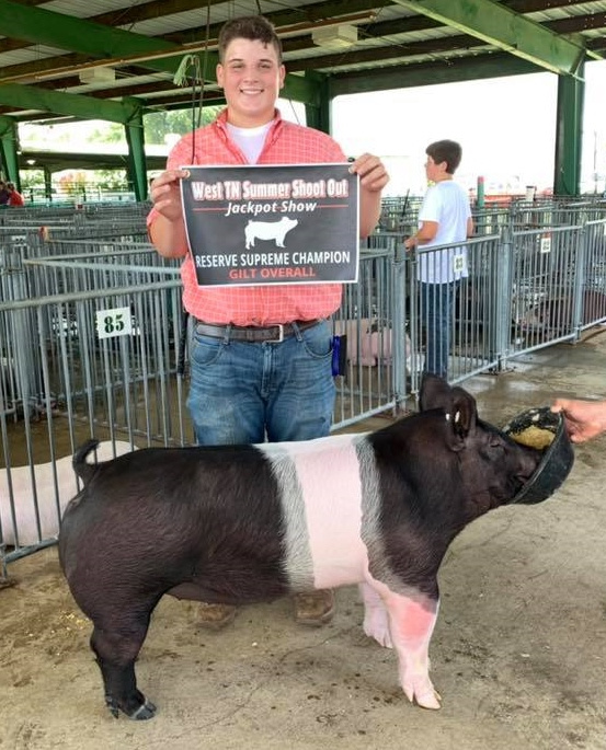 Aubrey Paulk
2019 West Tennessee Shoot Out
Reserve Supreme Champion
Gilt Overall