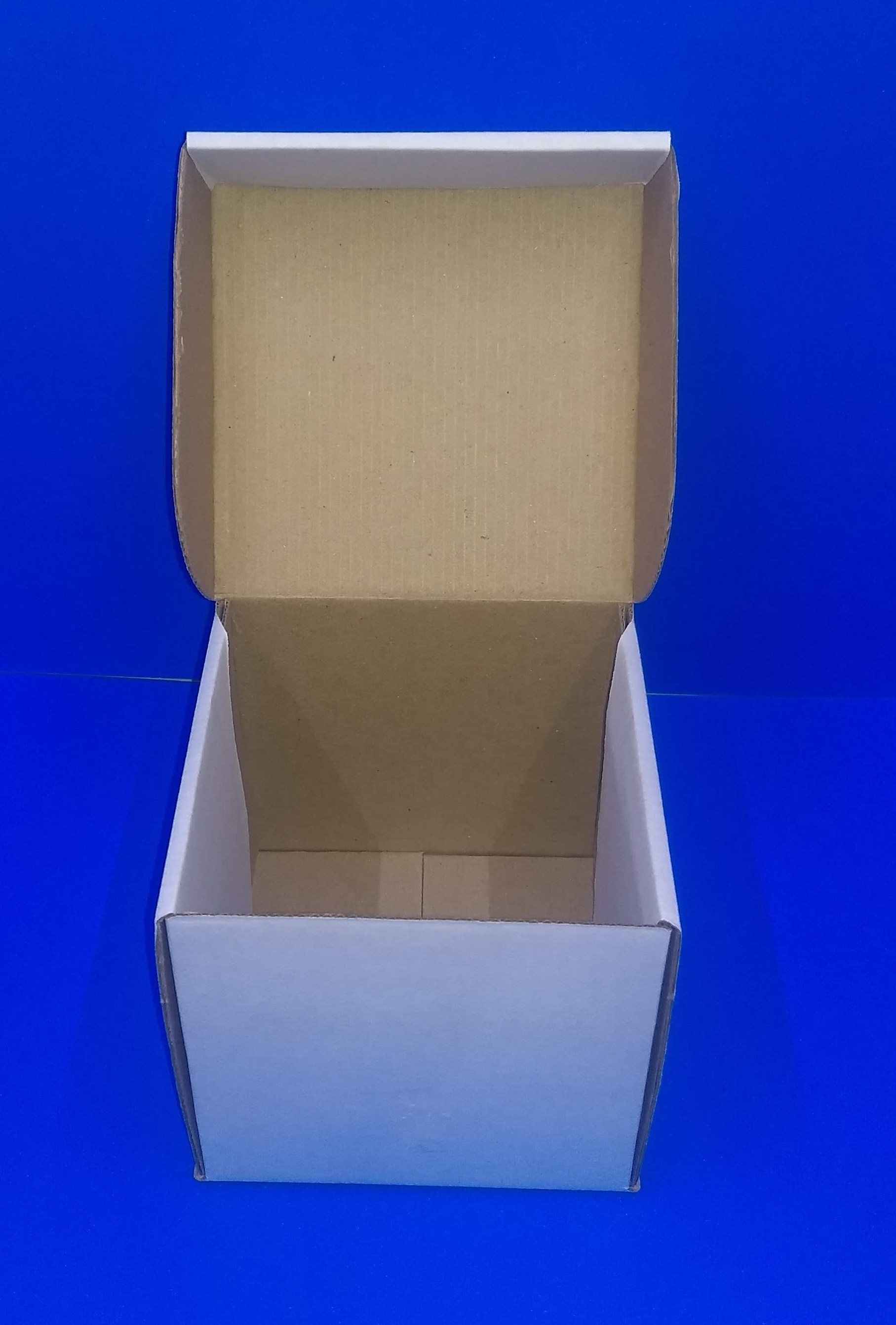 CUBO BLANCO 
MEDIDA 13X13X13