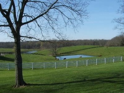 Junkins Run Farm Cover