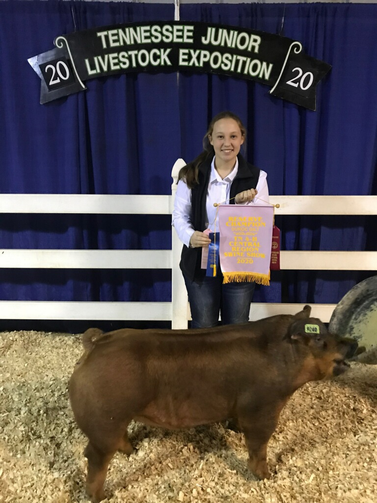 Samantha Calvetti
2020 Tennessee Central Region Show
Reserve Champion Duroc Gilt