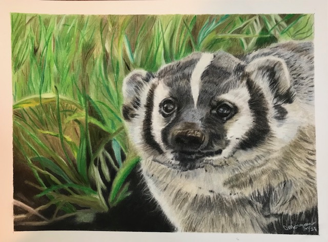 Badger KP Spirit Anima