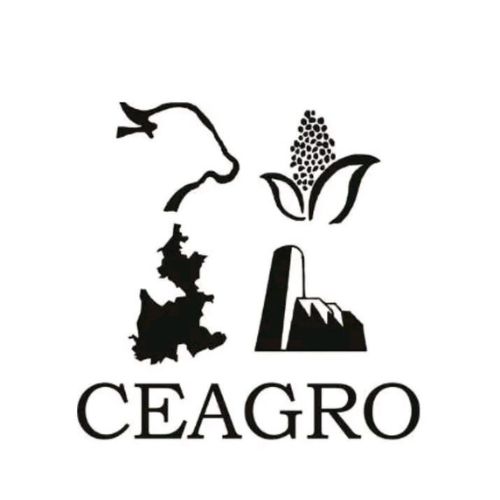 https://0201.nccdn.net/4_2/000/000/076/de9/ceagro-canva.jpg
