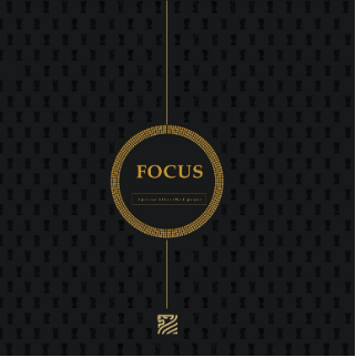 https://0201.nccdn.net/4_2/000/000/076/de9/focus.png