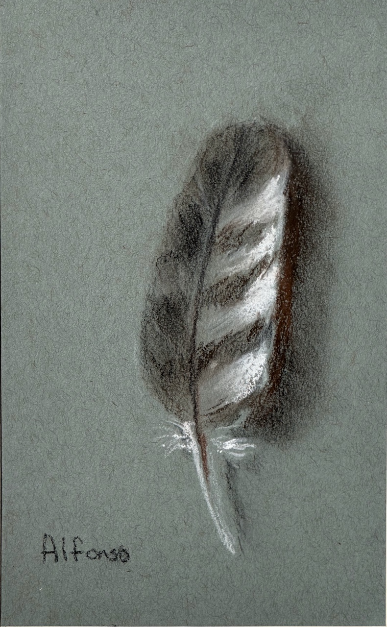 Feather
Pastel
5.5" X 8.5"
$75.