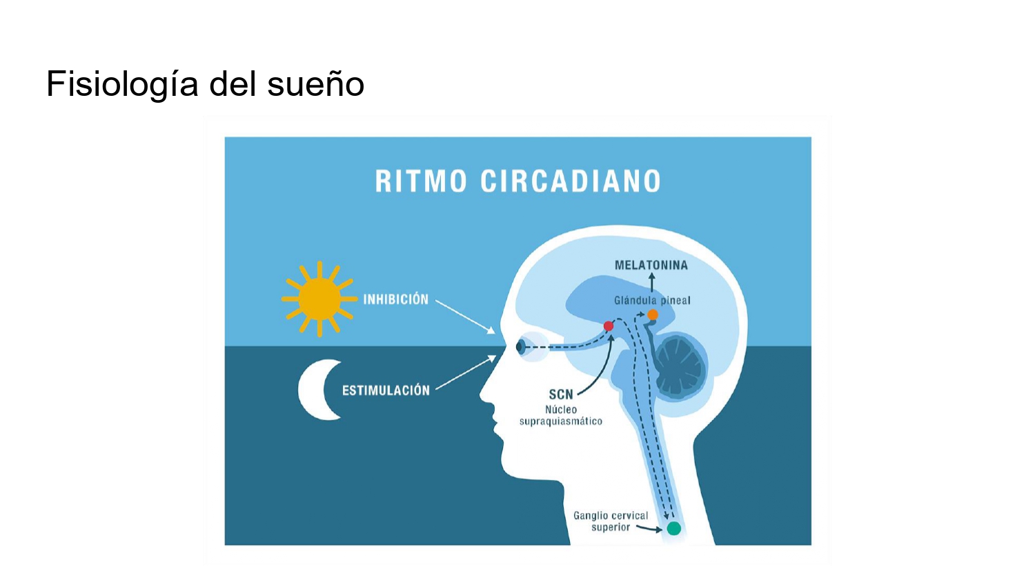 https://0201.nccdn.net/4_2/000/000/076/de9/higiene-de-sue%C3%B1o-_page-0005.jpg