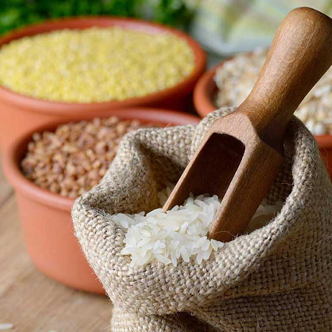 Culcam S.A. de C.V. - venta de semillas Culcam S.A. de C.V. - venta de semillas