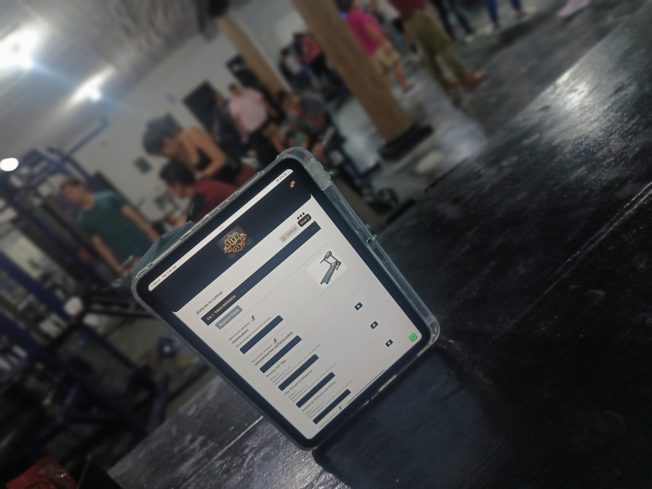 Gimnasio moderno con equipos de ejercicio y grandes ventanas, iluminación contemporánea y plantas decorativas.