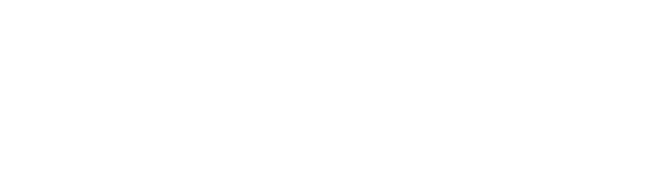 Synergex de México