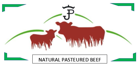 https://0201.nccdn.net/4_2/000/000/076/de9/natural-paustered-beef.png