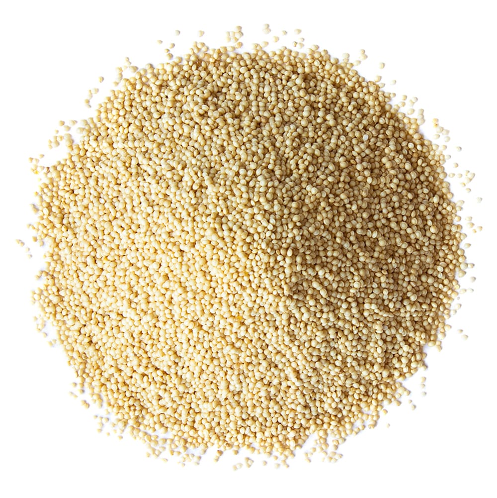 https://0201.nccdn.net/4_2/000/000/076/de9/organic-amaranth.jpg