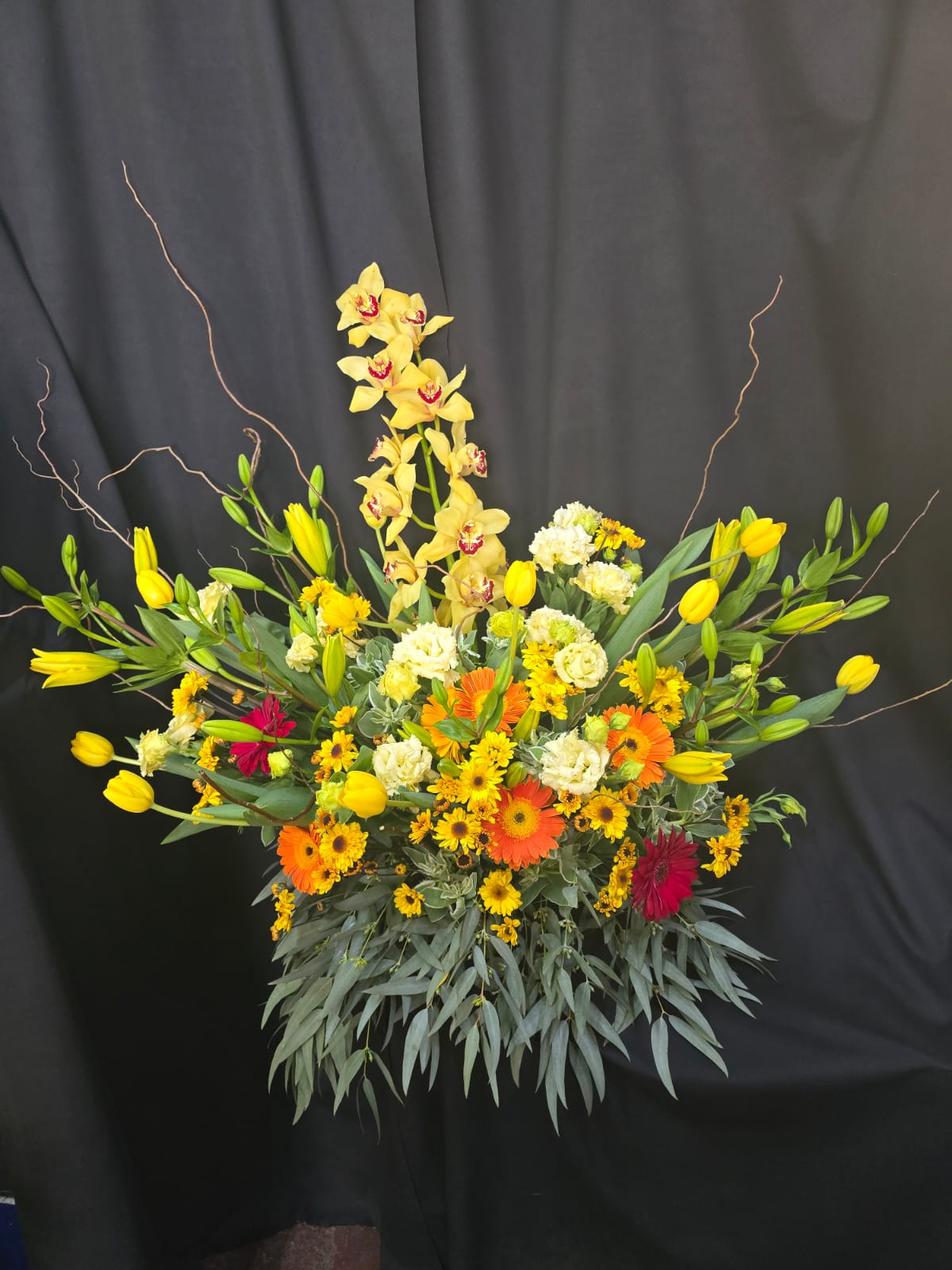 ORQUIDEAS SALVAJES
